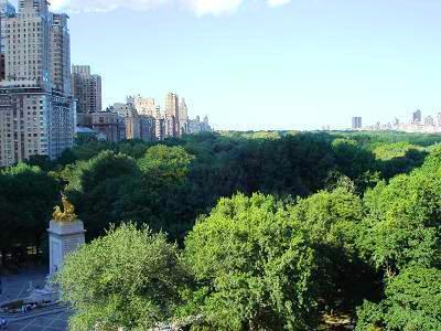 Sweeping views of Central Park from your Olympic sized 26 ft living room !! This stunning true one bedroom apartment is a rarely available gem in a coveted 5th Ave building.Massive Dining Gallery, per