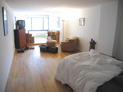 Probably THE BIGGEST Studio you will see, this is a truly UNIQUE apartment with 2 (Yep- 2) Alcoves! The Current Tenant uses 1 for Dining and 1 as a Study- ENDLESS possibilities! Real Hardwood floors (