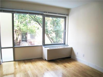 Brand new condo-quality, doorman building in the hottest area in Manhattan.HUGE 1 bedroom apartment with stainless steel appliances, HUGE windows, and brand new everything!