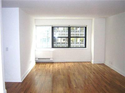 Spacious apartment with good hardwood floors and great light.