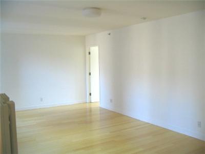 Finally Luxury Downtown ! Roofdeck access, laundry in the building , lots of space, tons of light, city views and steps away from the hottest neighborhood in the city ! Welcome to the East Village. En