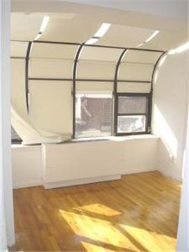 Spacious apartment with good hardwood floors and great light.