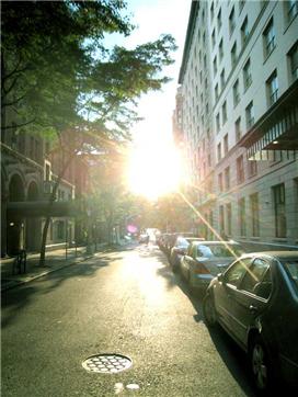 Spacious apartment with good hardwood floors and great light.