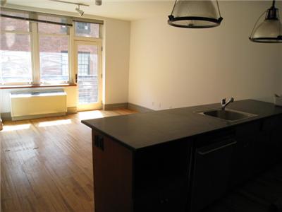 Seeking a DUMBO classic? This Two Bedroom Loft with Juliet Balcony is central to the the thriving scene. Step outside onto a prime street with all neighborhood amenities & events at your fingertips. C