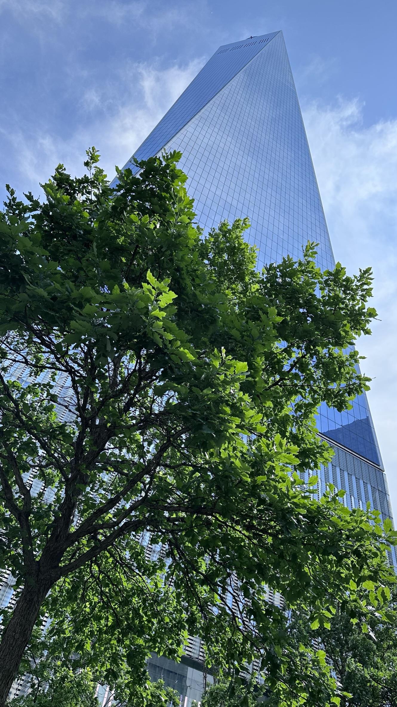 84-26 60th Avenue Building Flushing Queens NY 11379