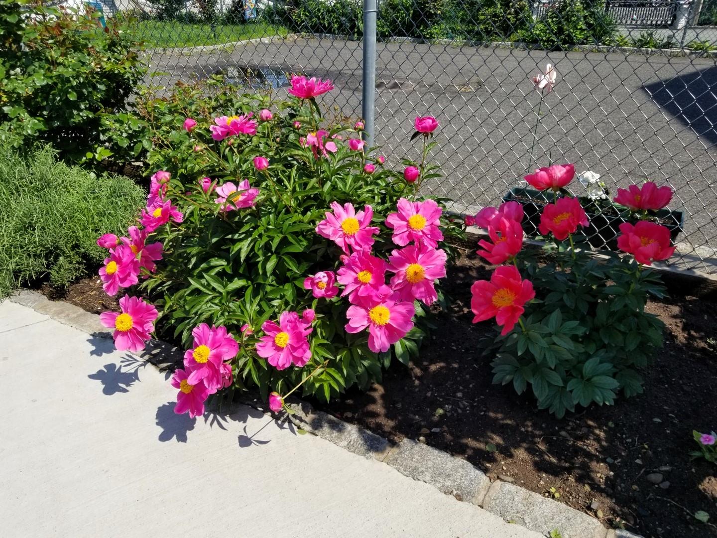 4-10 Street, Newark, NJ Building Jersey City Newark NJ 07105