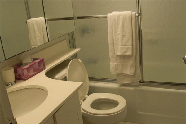 51st Street and 7th Ave ~Furnished 1 bedroom in Luxury high rise.