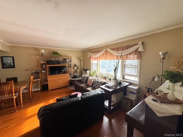 45-11 156th Street Queens NY 11355