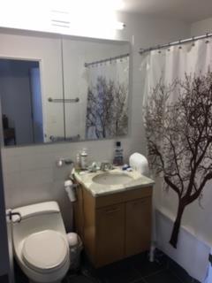 230 Ashland Place Fort Greene Brooklyn NY 11217