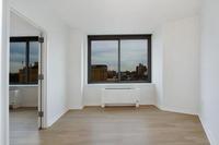 230 Ashland Place Fort Greene Brooklyn NY 11217