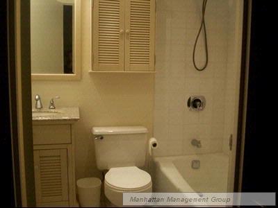 Furnished Renovated Studio-Midtown