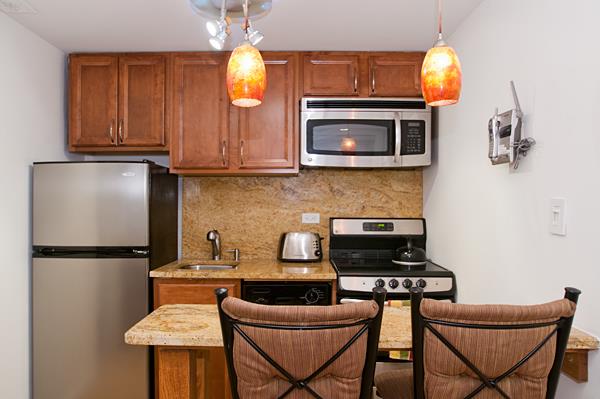 Great Furnished Studio in the Heart of Mid-town-Luxury High Rise