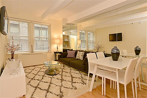 Newly Renovated Furnished 1 Bedroom in the Heart of Manhattan