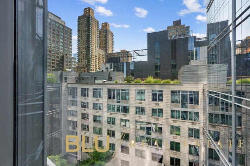 50 Riverside Blvd. 8-J Lincoln Square New York NY 10069