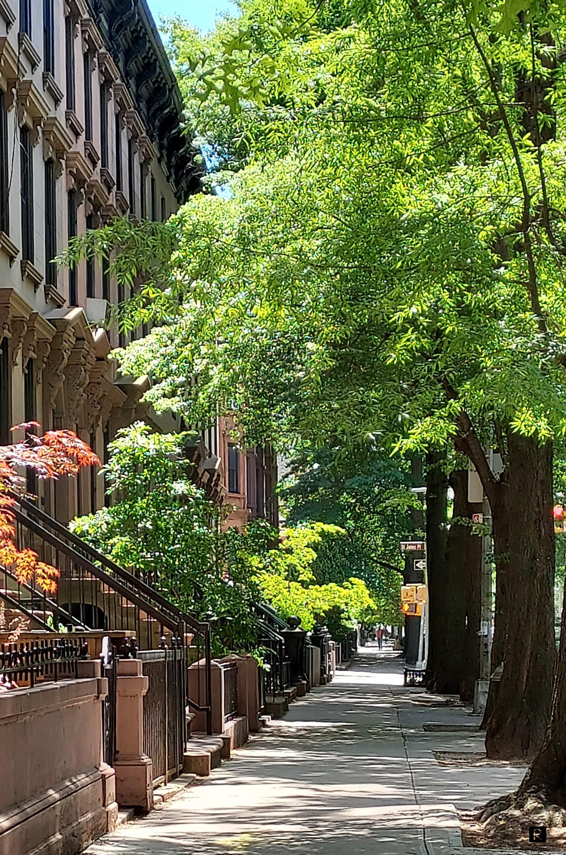 456 Bergen Street Park Slope Brooklyn NY 11217