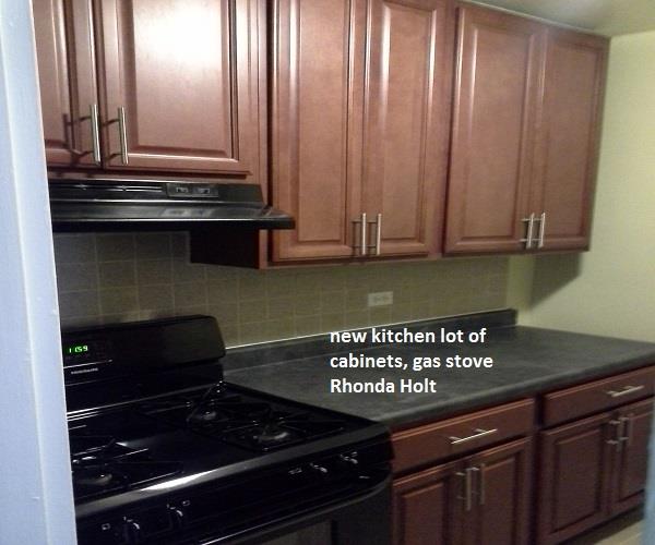 350 East 19th Street Ditmas Park Brooklyn NY 11226