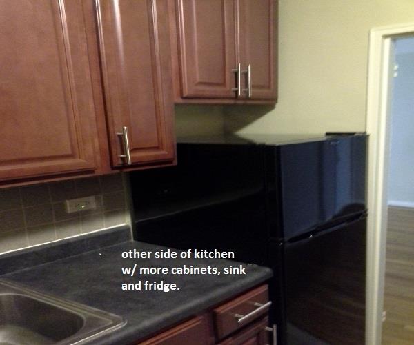 350 East 19th Street Ditmas Park Brooklyn NY 11226