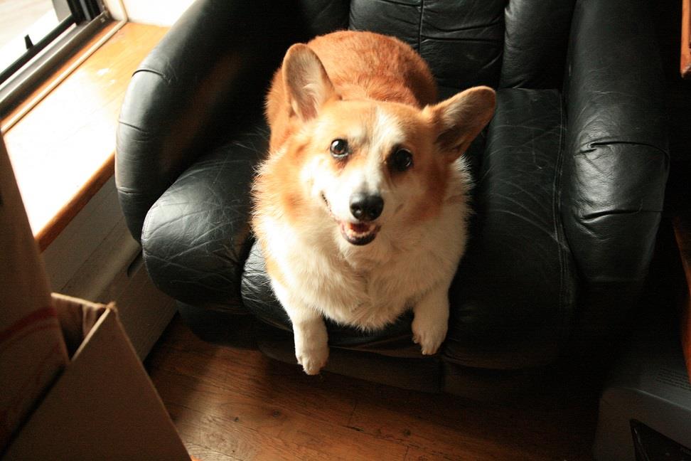 346 Flatbush Avenue Park Slope Brooklyn NY 11238