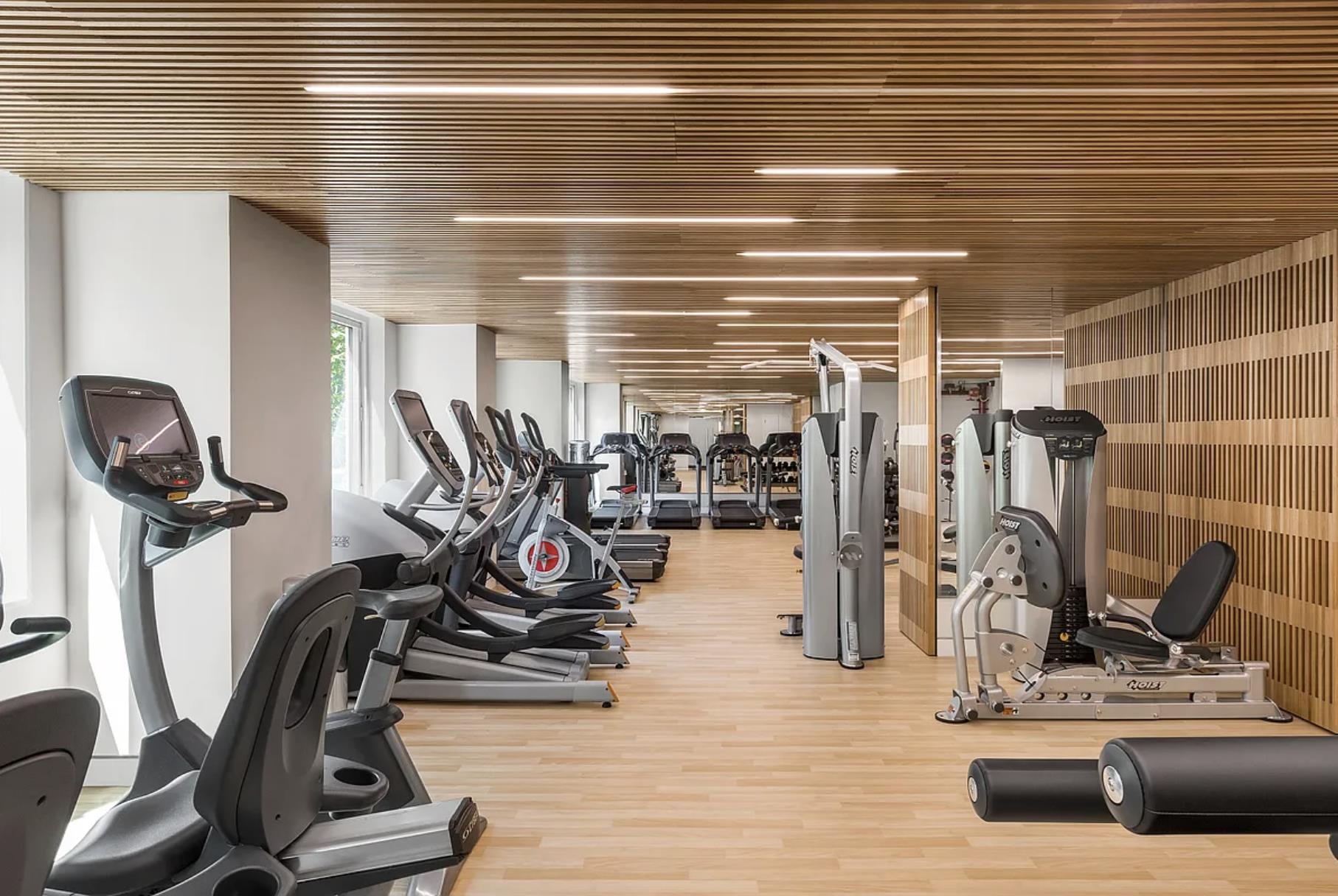 301 West 53rd Street 8-F Clinton New York NY 10019