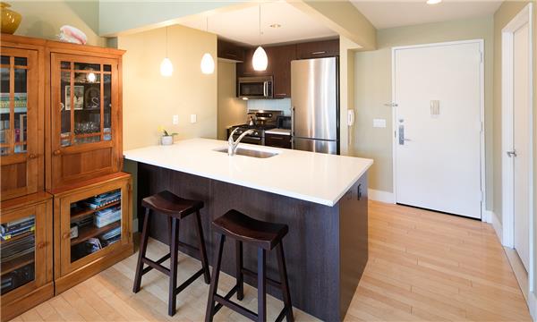 5-09 48th Avenue 2-C Long Island City Queens NY 11101