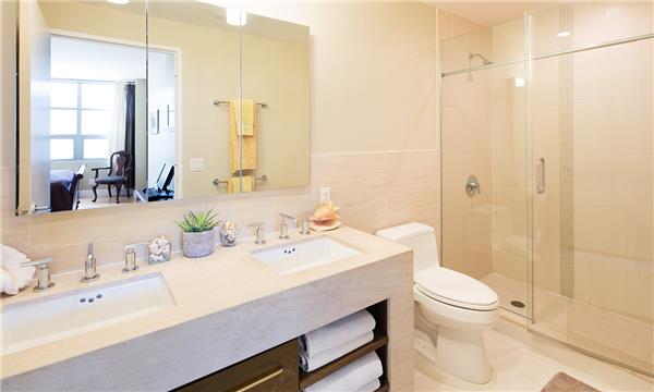 5-09 48th Avenue 2-C Long Island City Queens NY 11101