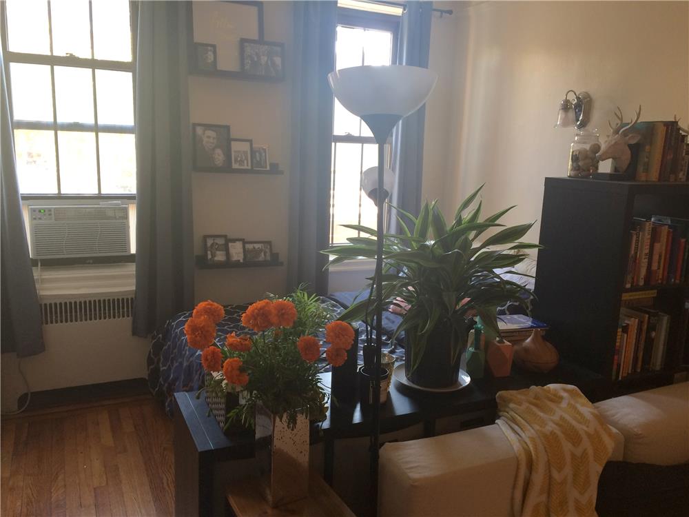 200 Clinton Street Brooklyn Heights Brooklyn NY 11201