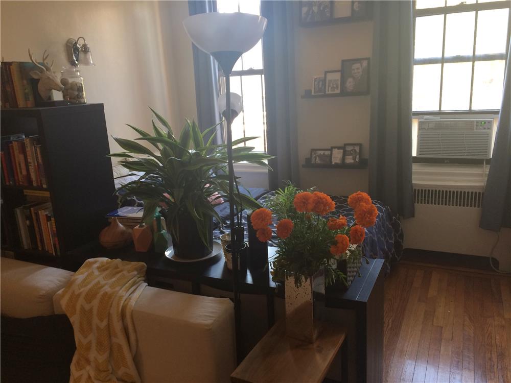 200 Clinton Street Brooklyn Heights Brooklyn NY 11201