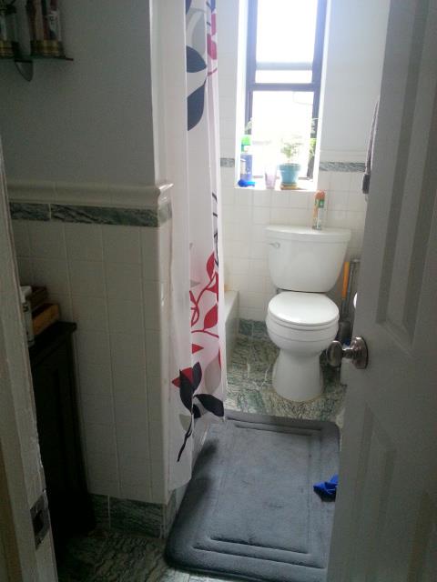 921 Washington Avenue Crown Heights Brooklyn NY 11225