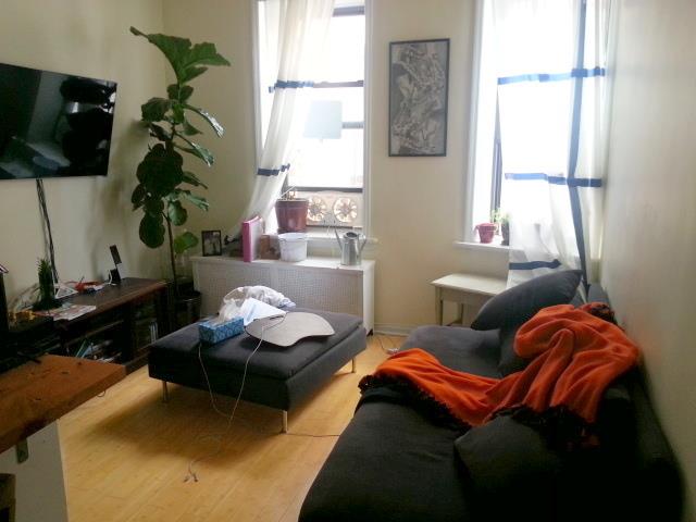 921 Washington Avenue Crown Heights Brooklyn NY 11225