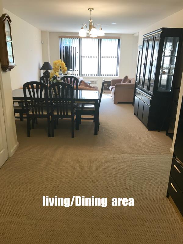 1275 East 51st Street Old Mill Basin Brooklyn NY 11234 R New York