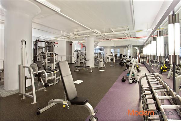 27-28 Thomson Avenue 438 Long Island City Queens NY 11101