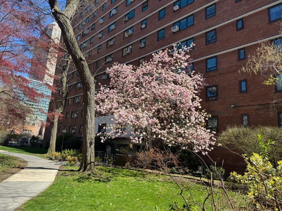 195 Adams Street 11-F Downtown Brooklyn NY 11201