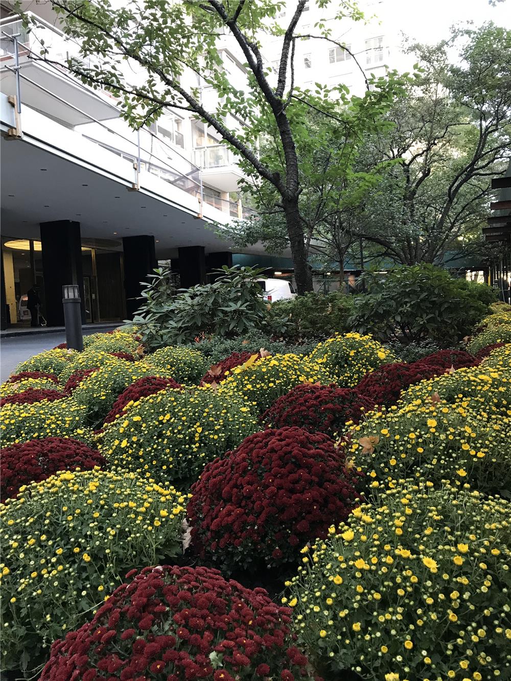 150 East 69th Street Upper East Side New York NY 10021