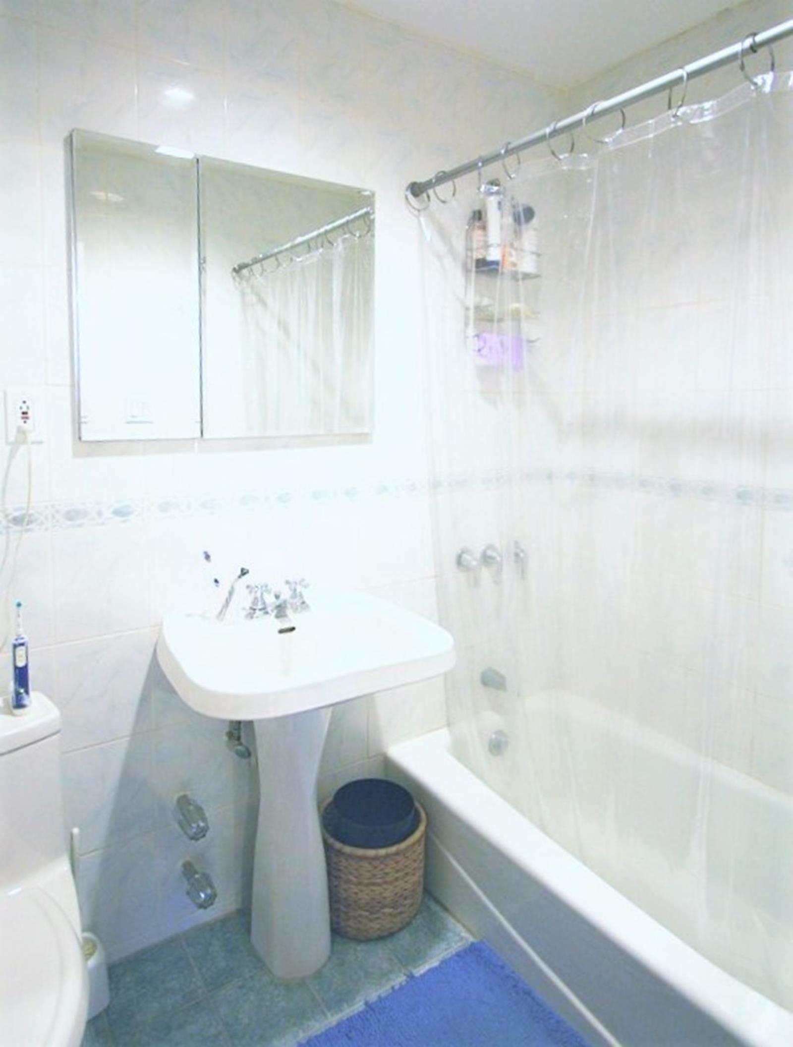 217-219 Eastern Parkway Crown Heights Brooklyn NY 11238