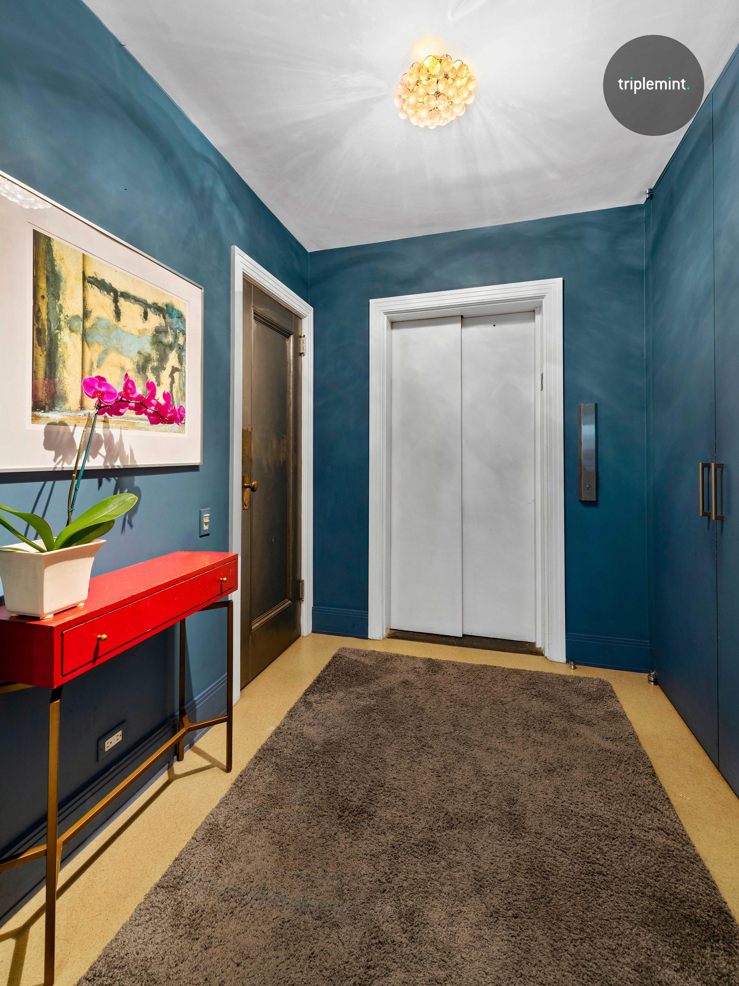 25 Ann Street, #7