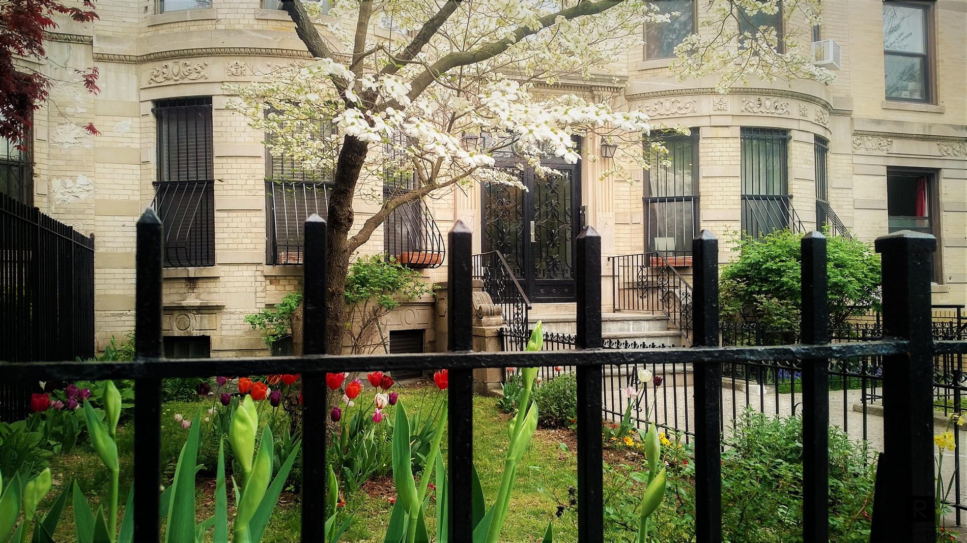 217-219 Eastern Parkway Crown Heights Brooklyn NY 11238