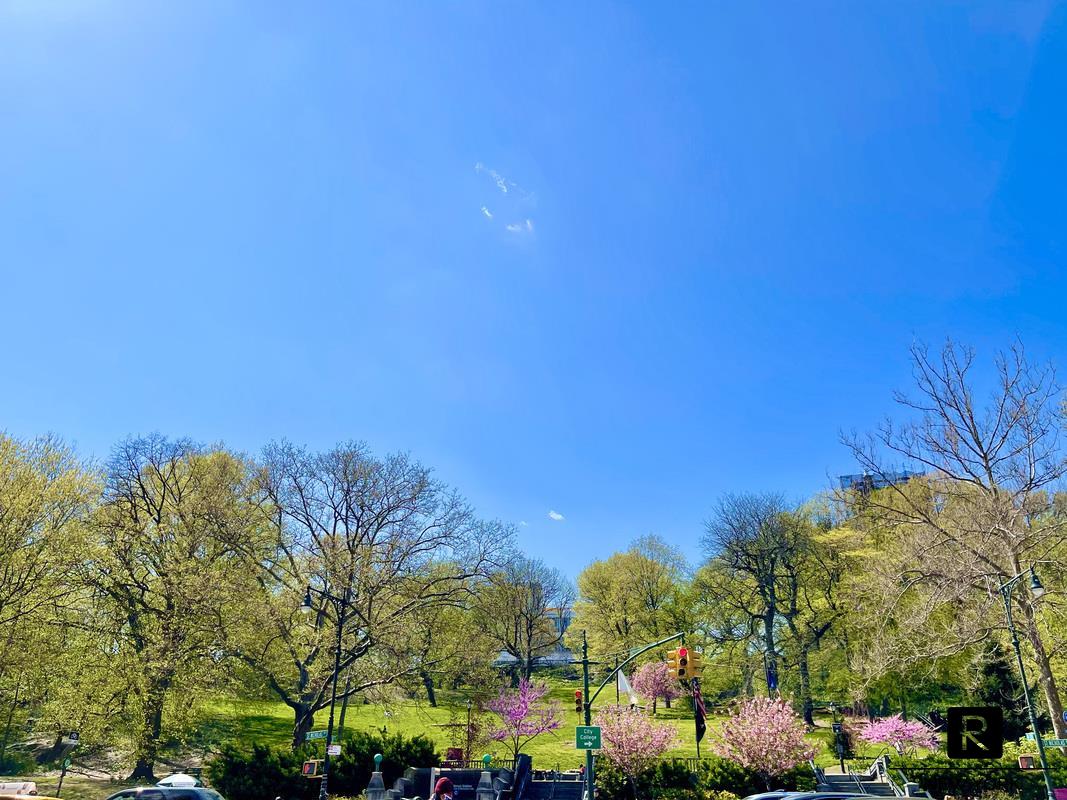 260 West 135th Street West Harlem New York NY 10030