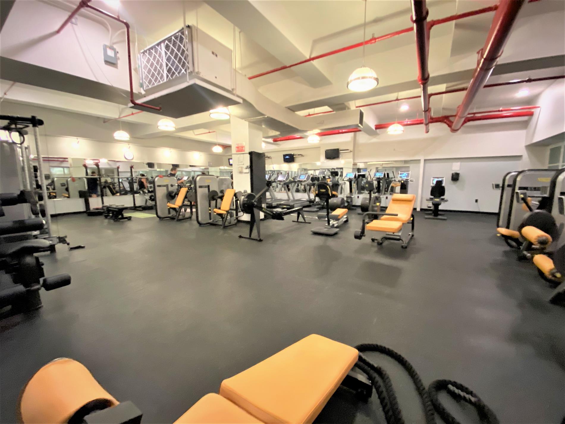 365 Bridge Street 6G Downtown Brooklyn NY 11201