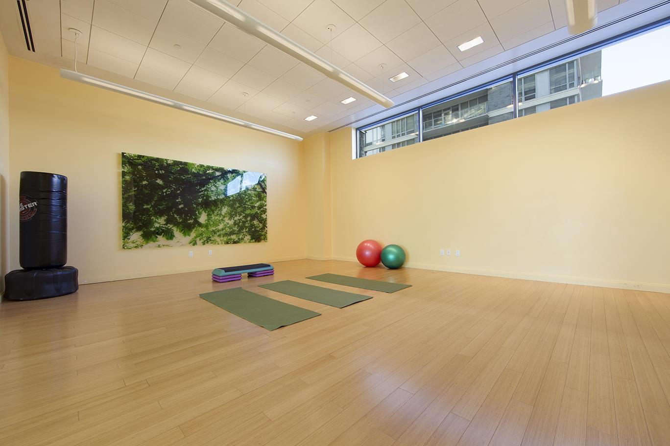 11-02 49th Avenue 9-E Long Island City Queens NY 11101