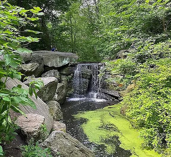 467 Central Park West 14-B Upper West Side New York NY 10025