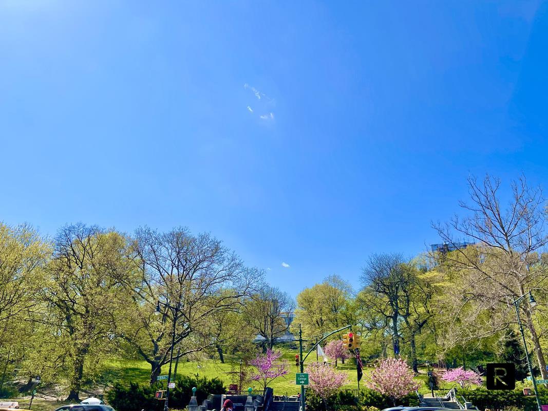 260 West 135th Street West Harlem New York NY 10030