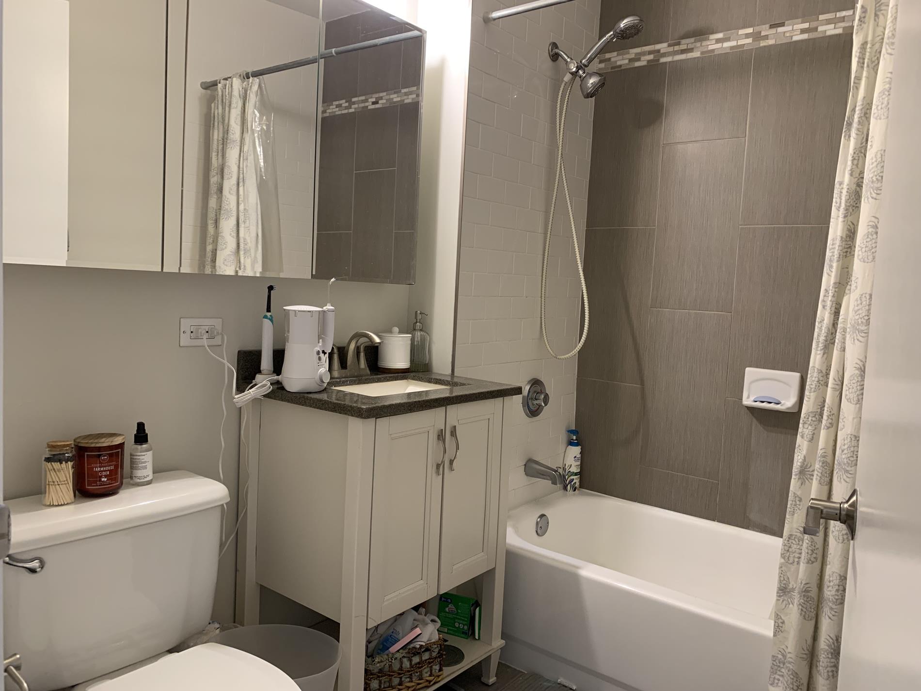 4-74 48th Avenue 15C Hunters Point Queens NY 11109