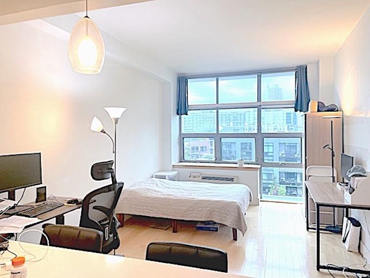 5-09 48th Avenue 6D Long Island City Queens NY 11101