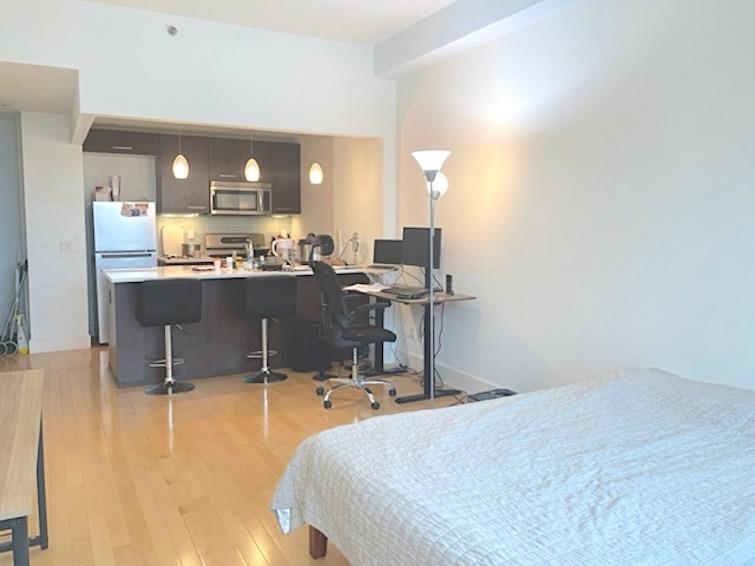 5-09 48th Avenue 6D Long Island City Queens NY 11101