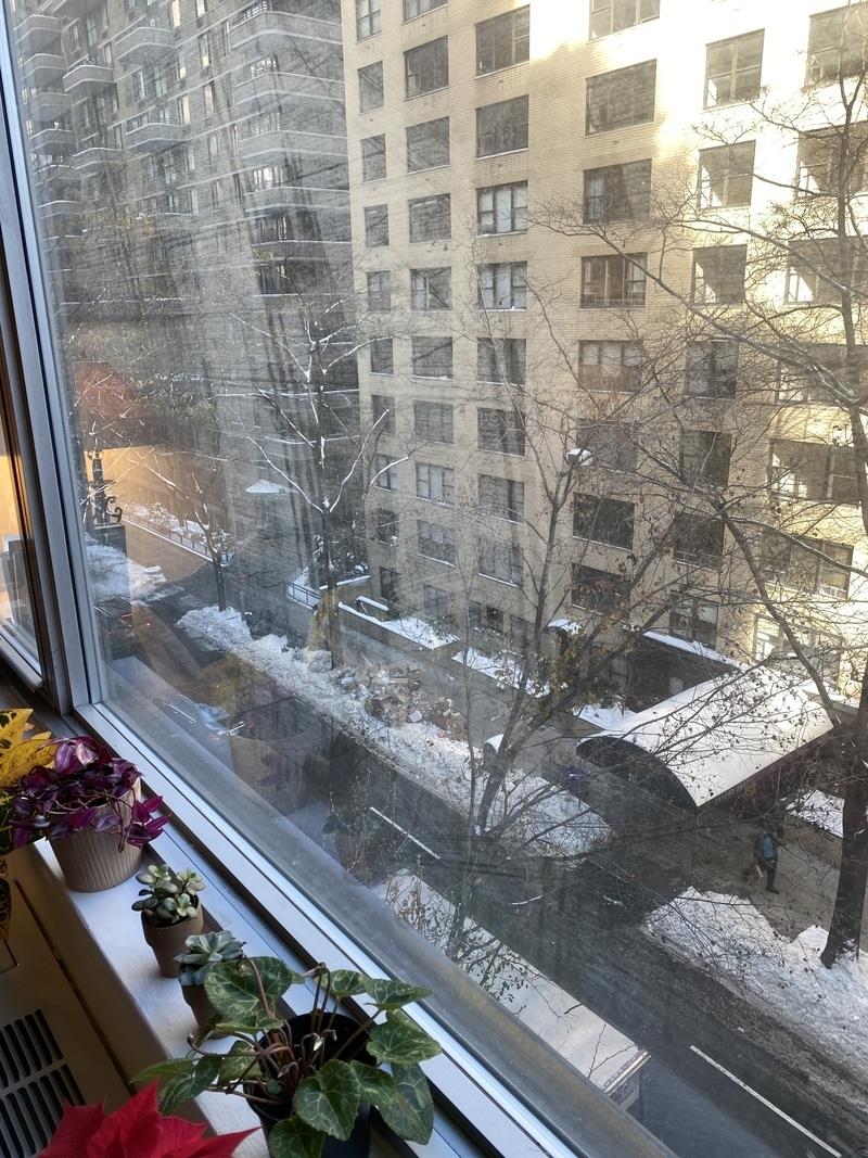 330 East 49th Street Turtle Bay New York NY 10017