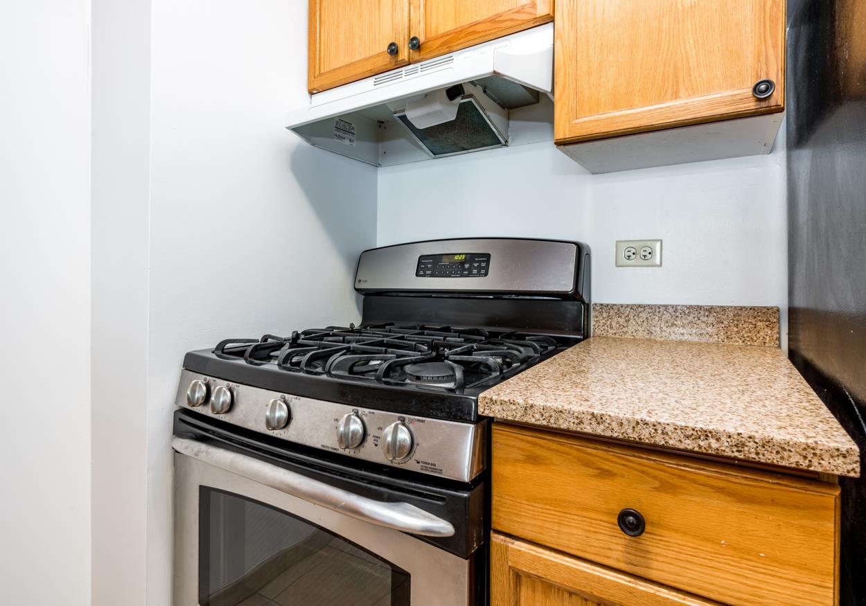 4-74 48th Avenue 4-V Hunters Point Queens NY 11109