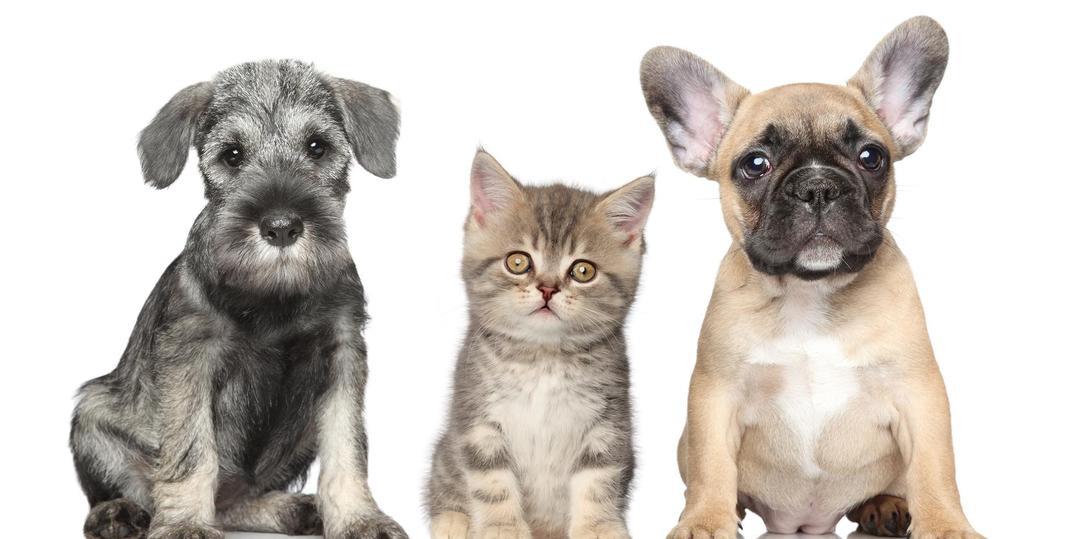 350 West 42nd Street 36E Clinton New York NY 10036