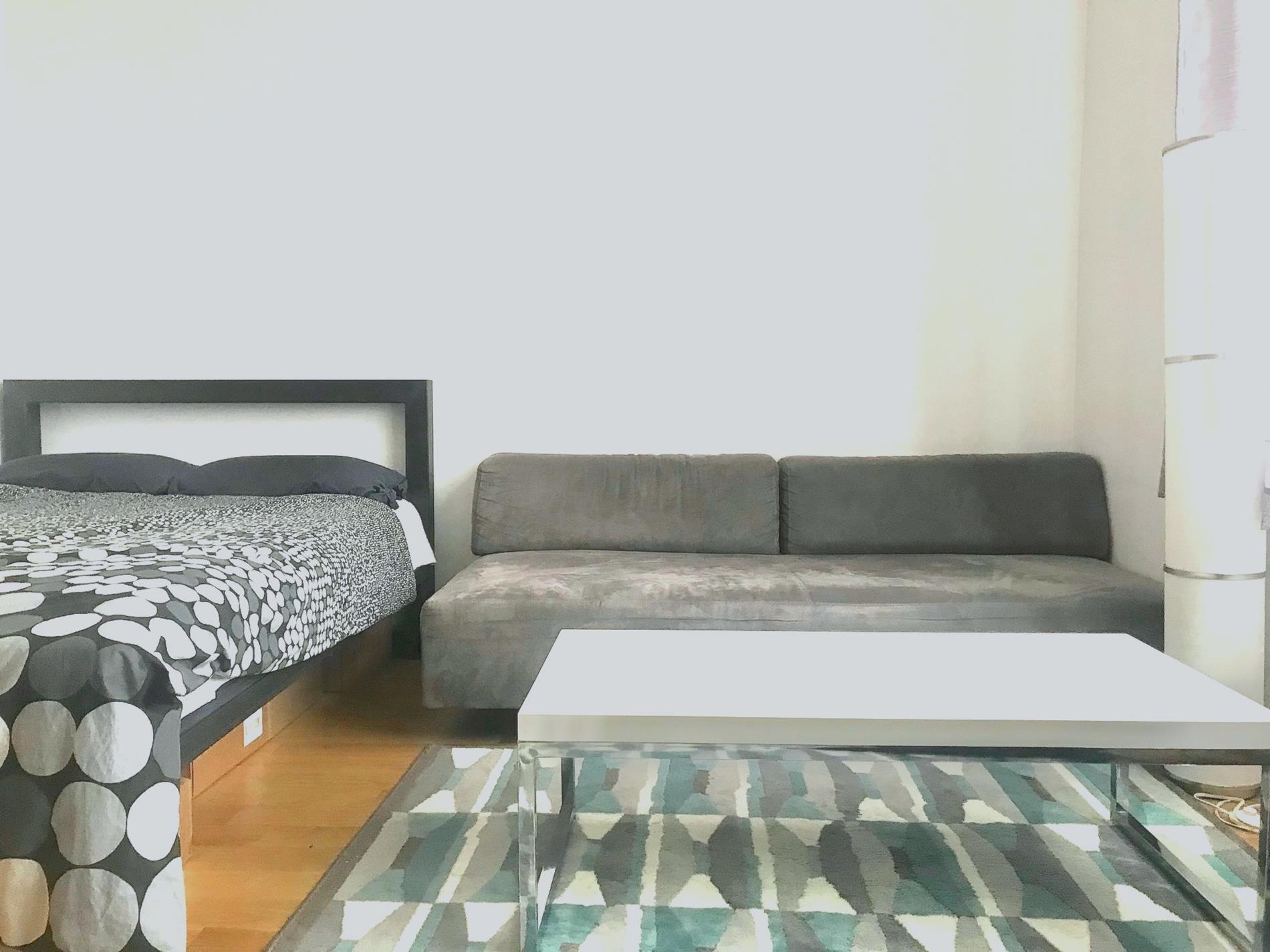 2-26 50th Avenue 4-J Long Island City Queens NY 11101