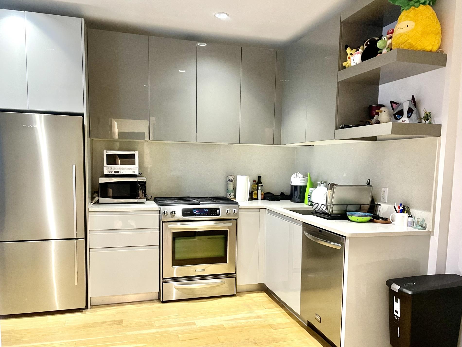 2-26 50th Avenue 4-J Long Island City Queens NY 11101