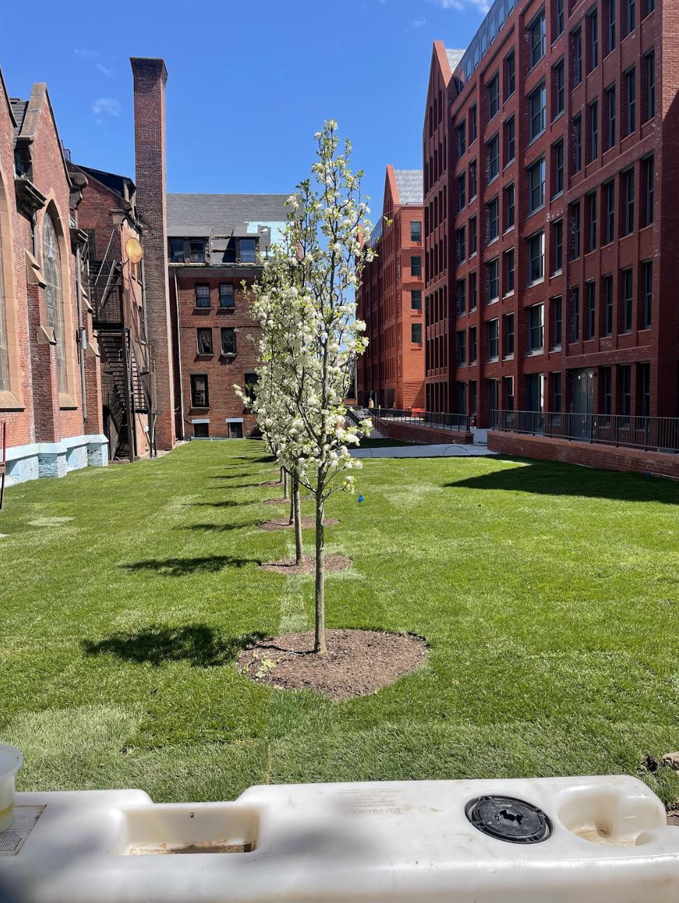 955 Sterling Place 415 Crown Heights Brooklyn NY 11216